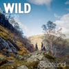 Wild Guide Scotland icon