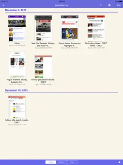 iSaveWeb Lite screenshot 4