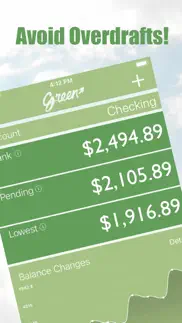 green - budget forecasting iphone screenshot 1