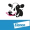 Elanco’s innovative BCS Cowdition smartphone App is designed to help simplify and standardize the scoring of dairy cows’ body condition, which is a vital part of good herd management