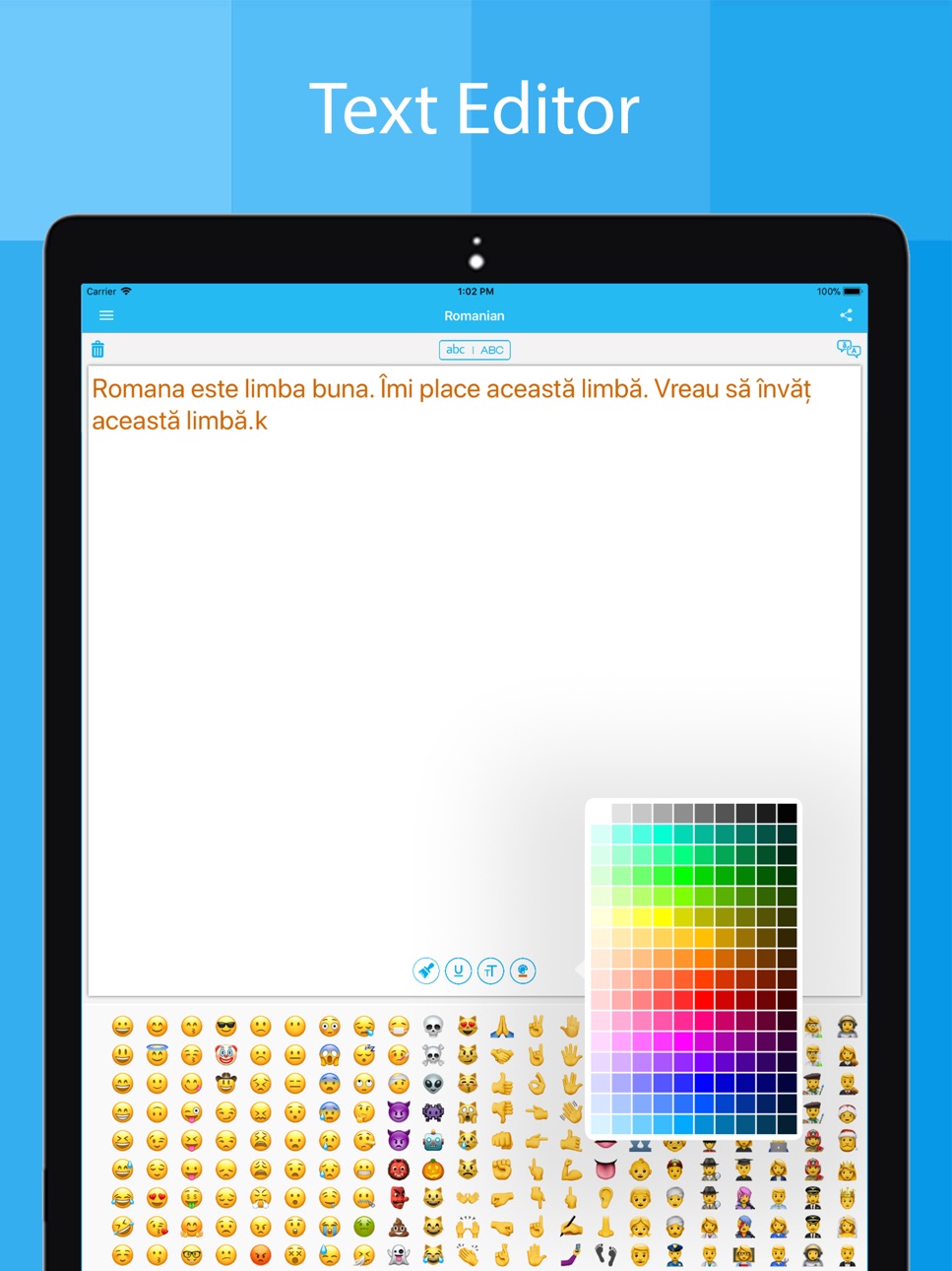 iPad screenshot