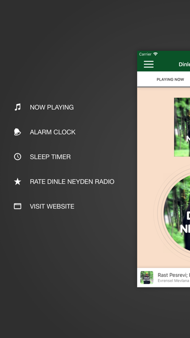 Dinle Neyden Radio screenshot 3