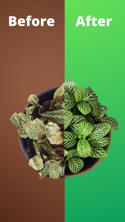 House Plant Watering Reminder screenshot-4