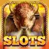 Buffalo Bonus Casino App Positive Reviews