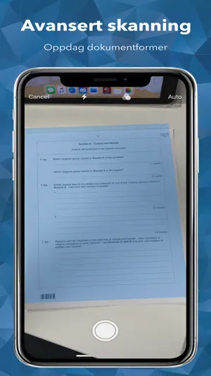Lingdys Lesevenn screenshot 1