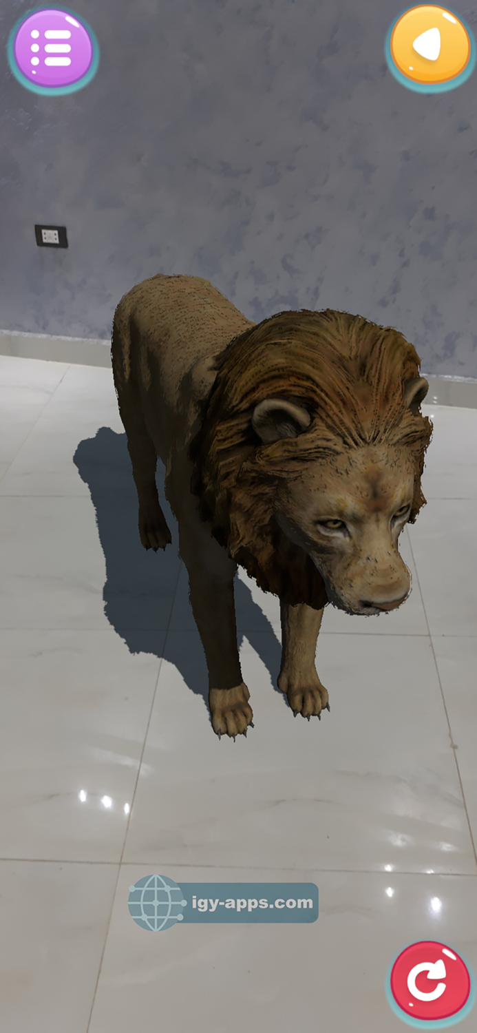 AR for Kids Animals Dinosaurs