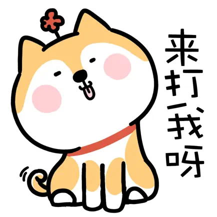表情包-gif动图聊天表情制作 Читы