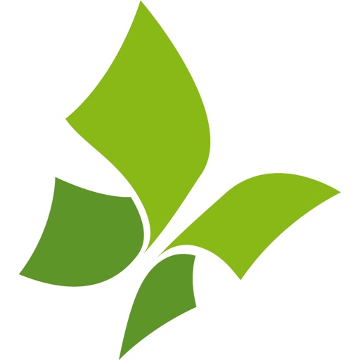 Numilia Prima nota Nota spese