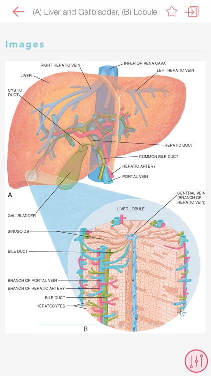 Taber's 23 Medical Dictionary screenshot-3