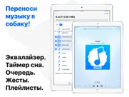 Собака - Музыка на iphone айпад изображения 1