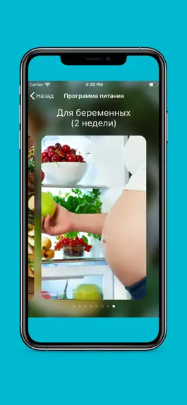 Game screenshot DemiFood: правильное питание apk