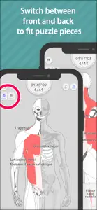 Enjoy Learning Muscles Puzzle screenshot #3 for iPhone
