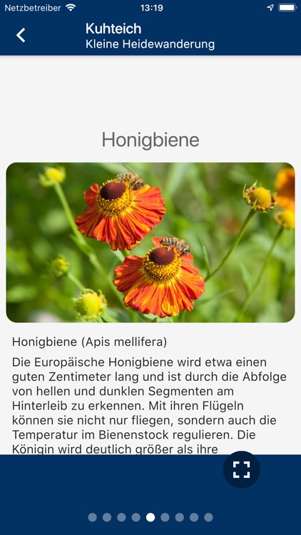 Natürlich Hamburg! screenshot-7