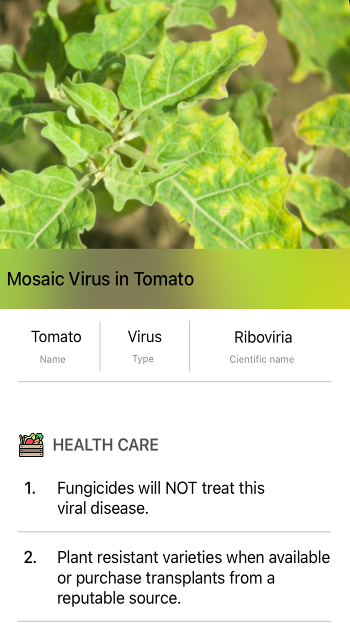 Plants Diseases Identifier