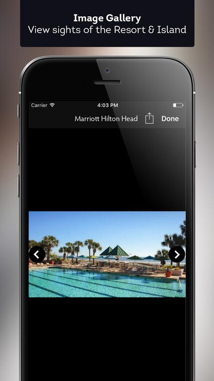 Marriott Hilton Head Resort screenshot-3
