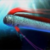 oarfish and deep-sea fish icon