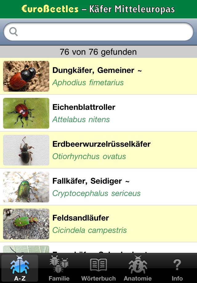 EuroBeetles screenshot 3