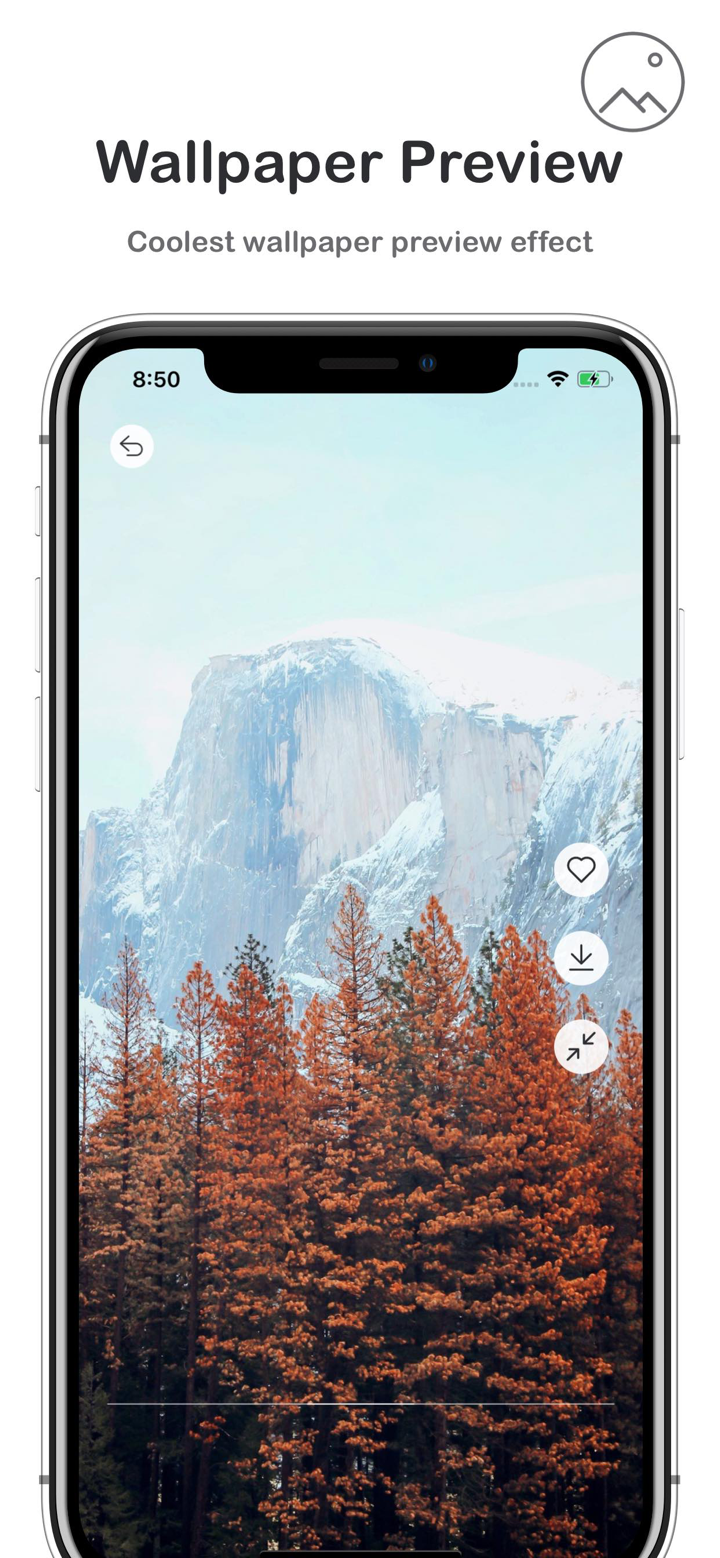 壁纸坊 - 壁纸大全 screenshot 3