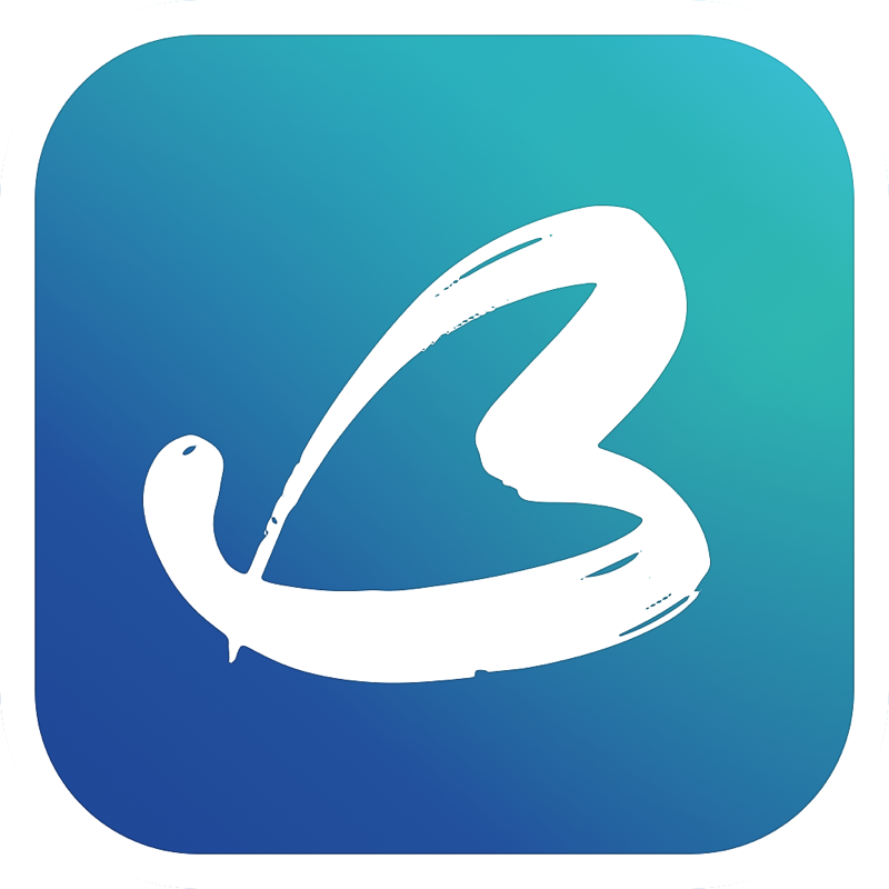 BeCasso Photo Editor