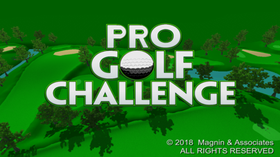 Pro Golf Challenge Screenshot
