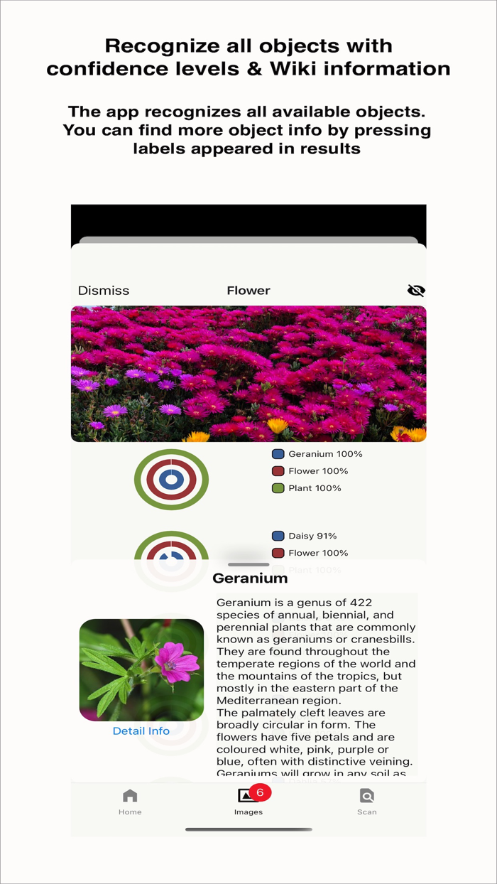 PicSnatcher - Image Recognizer