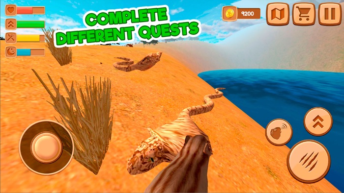 Guinea Pig In Forest