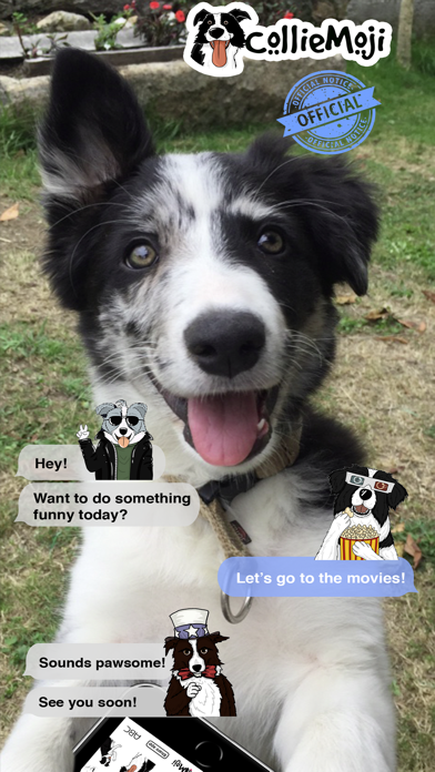 CollieMoji - Original Stickers Screenshot