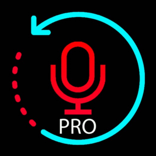 EnVave - Voice Recorder pro icon