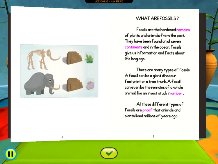 Smarty Ants 2nd Grade