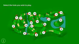 pro golf challenge problems & solutions and troubleshooting guide - 1