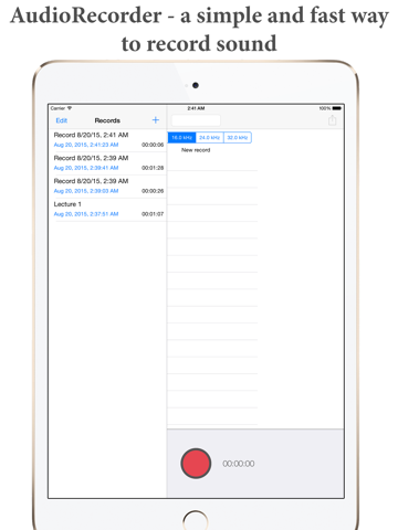 Audio Recorder / Диктофон - náhled