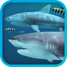 Ícone do app Sharks 3D