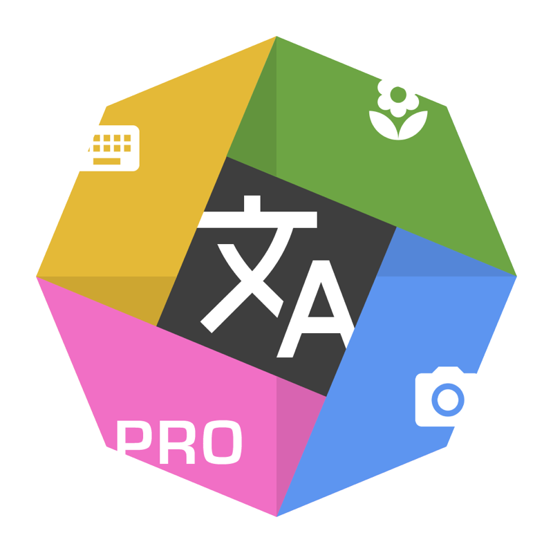 Übersetzer X PRO