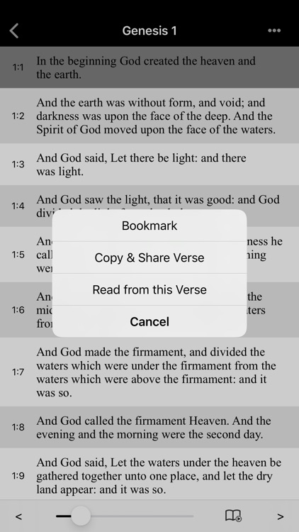 Bible-Simple Bible(KJV) screenshot-3