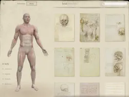 Game screenshot Leonardo da Vinci: Anatomy hack