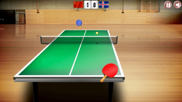 Table Tennis Virtual Ping Pong