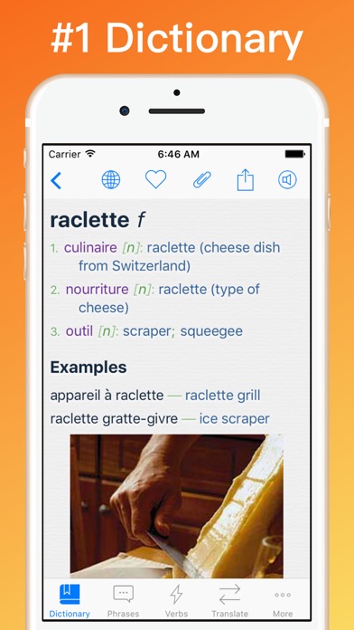 French Translator Dictionary + Screenshot