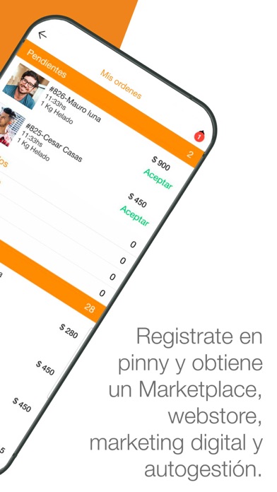 Pinny Screenshot