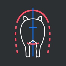 母豬體況計算器