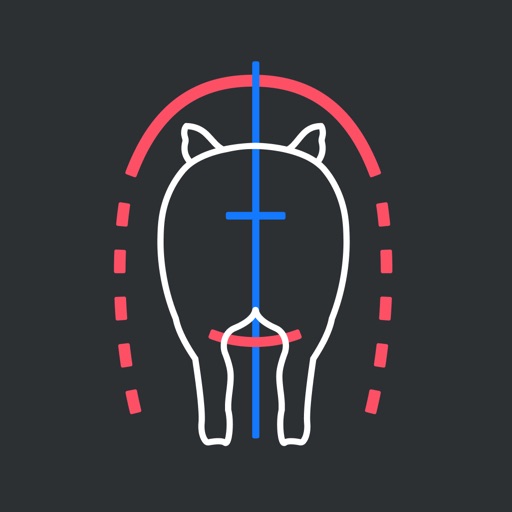 母豬體況計算器