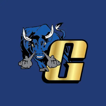 Goodridge School District Читы