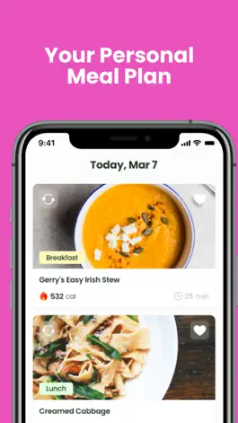 Game screenshot Pregnancy Diet & Food Guide hack