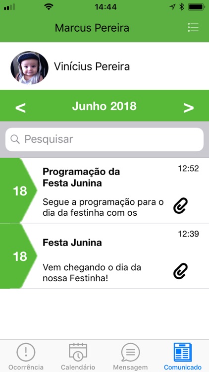 Green Apple screenshot-4