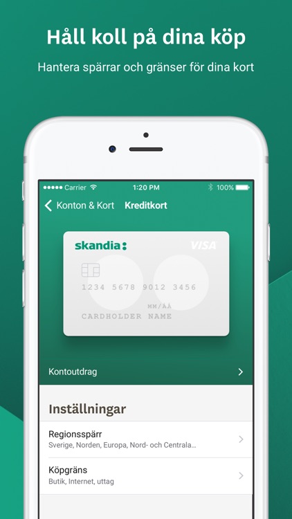 Skandia och Skandiabanken by Skandia bank u0026 försäkring