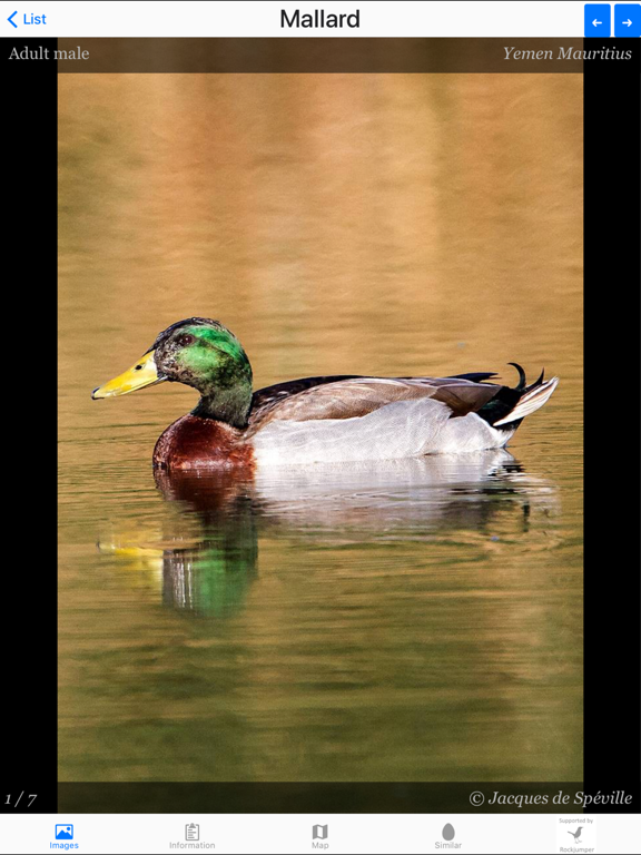 Screenshot #6 pour Birds of Mauritius