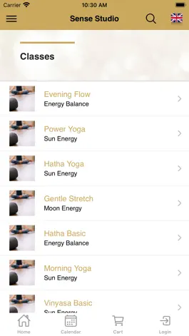 Game screenshot Sense Studio Yoga & Therapy hack