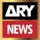 ARY NEWS PRO