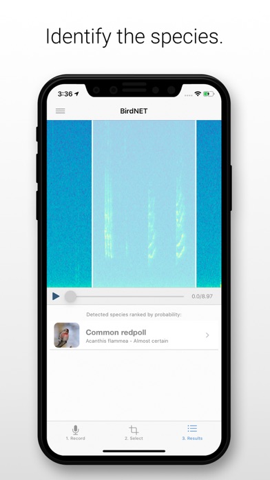 BirdNET Screenshot