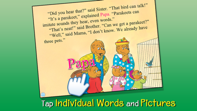Berenstain Really Big Pet Show Screenshot