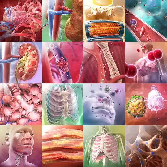 Captura de pantalla de Atlas De Anatomía Humana 2026 en iPhone 9